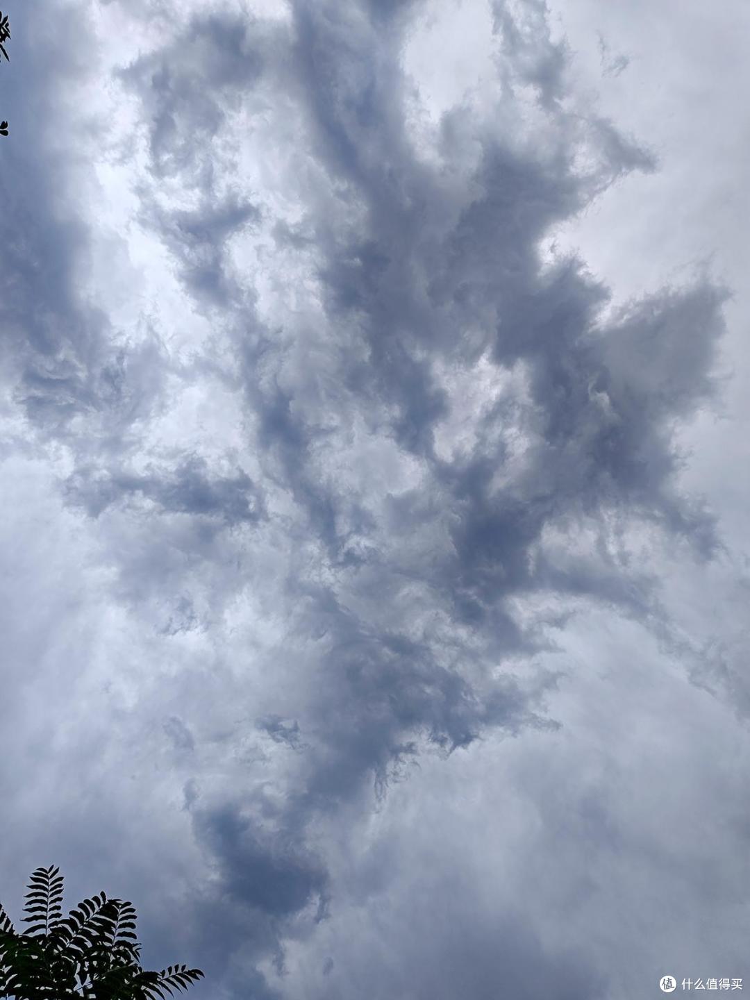 艳阳高照之手机摄影记录夏日里多姿的美景