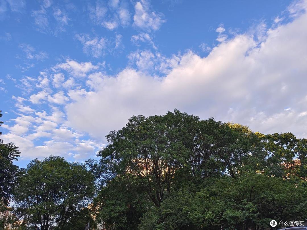 艳阳高照之手机摄影记录夏日里多姿的美景