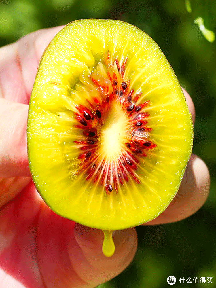 红心猕猴桃：你还不知道这个超级营养的水果吗？