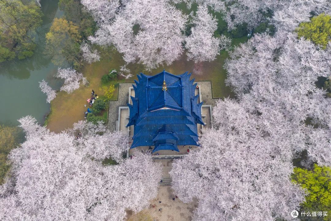 这座“甜滋滋”的城市，逛起来还真有看头~