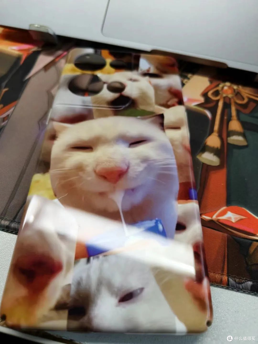猫猫：我不要面子的嘛！