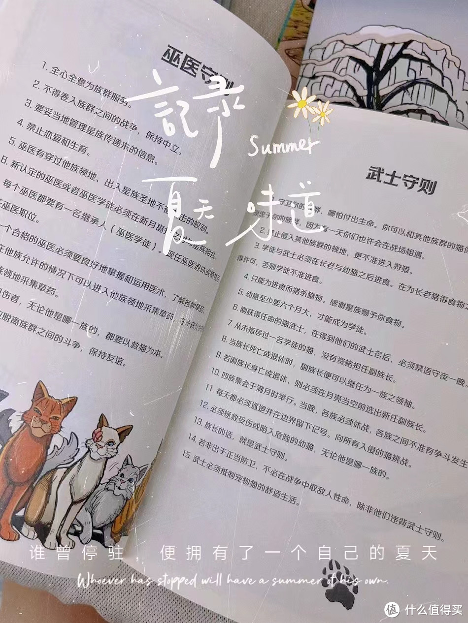 猫武士：守护你的家园，无所畏惧！