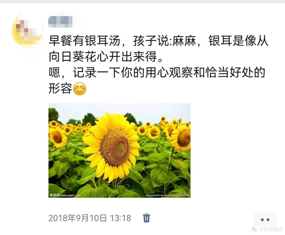 美育是灵性的教育,不是技能的教育