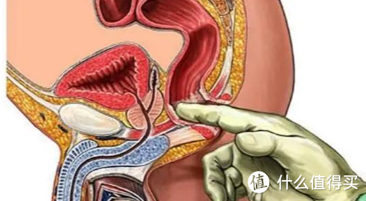 前列腺高C的教程。前列腺按摩器的推荐选择