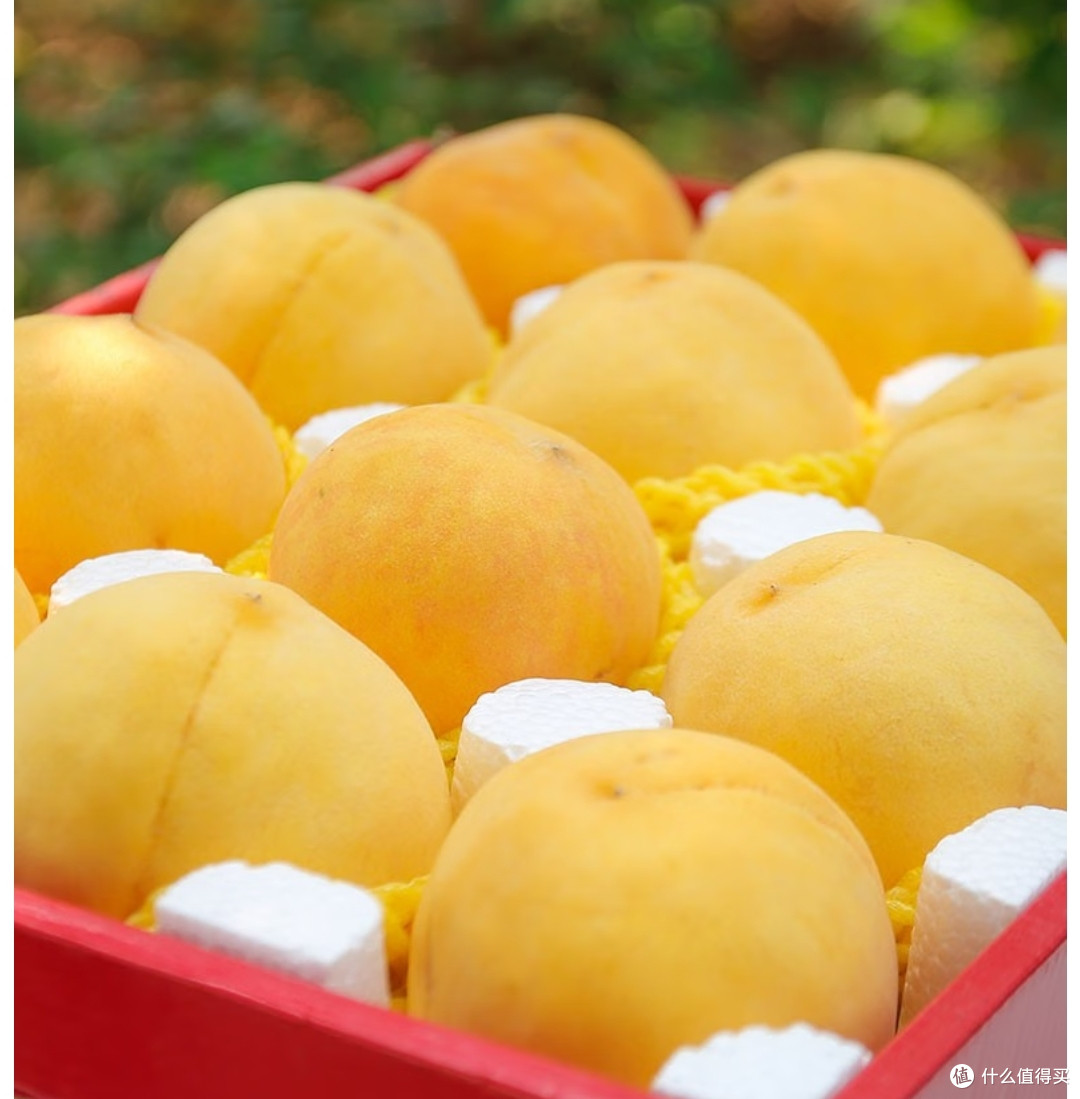 夏日特辑之夏日应季水果