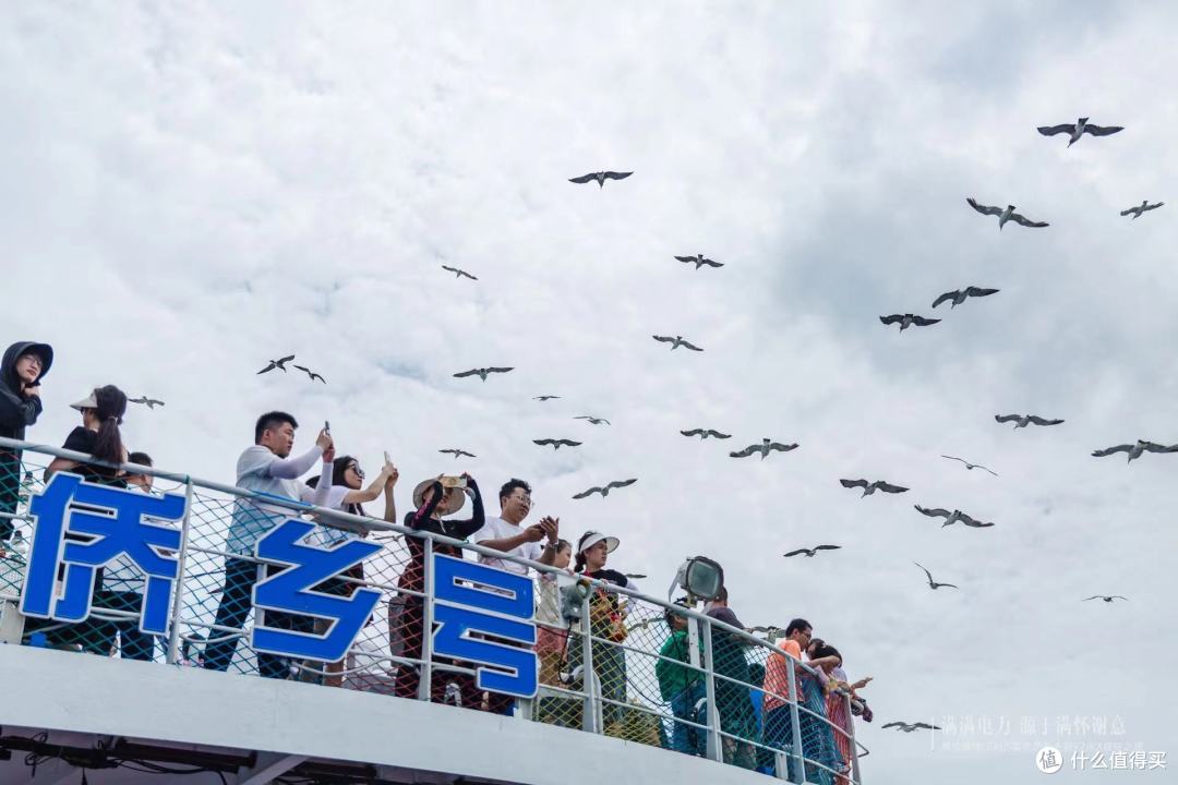 满满电力,源于满怀谢意——雷克萨斯全新RZ/RX自在之旅圆满结束