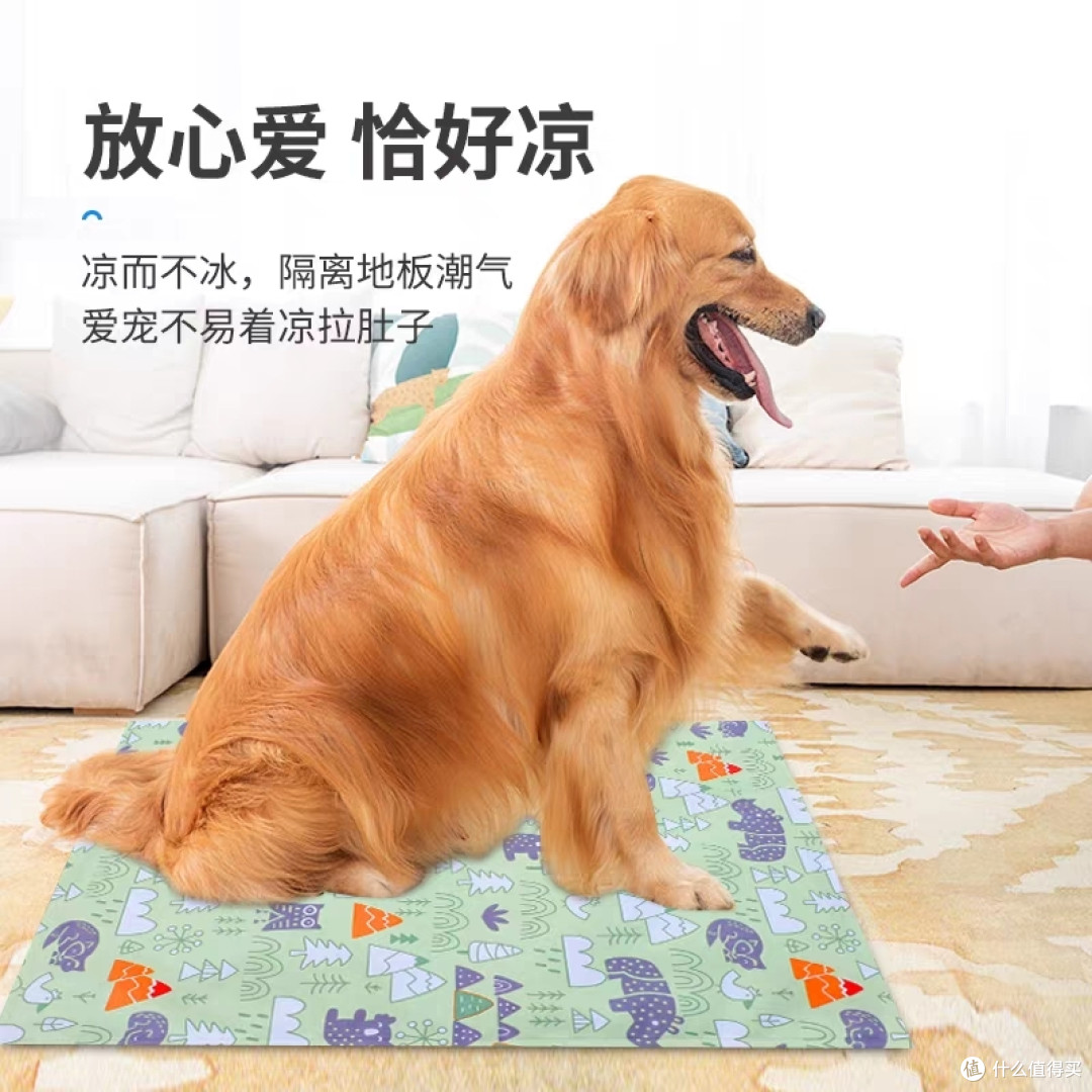 拯救萌宠于炎炎夏日——揭秘宠物消暑神器推荐