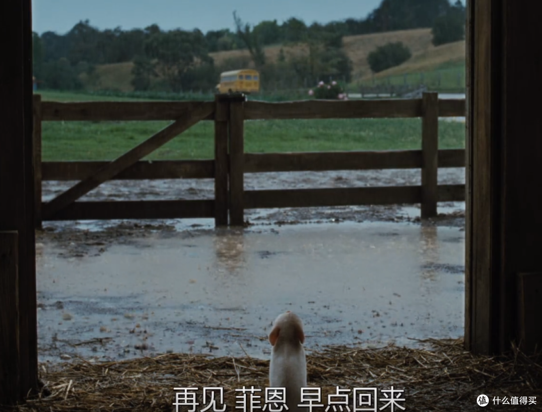 一只小猪的友情----我与孩子共成长