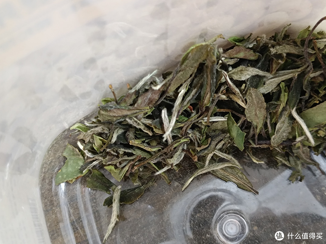 夏天，选一些品质比较高的白牡丹白茶做冷泡茶