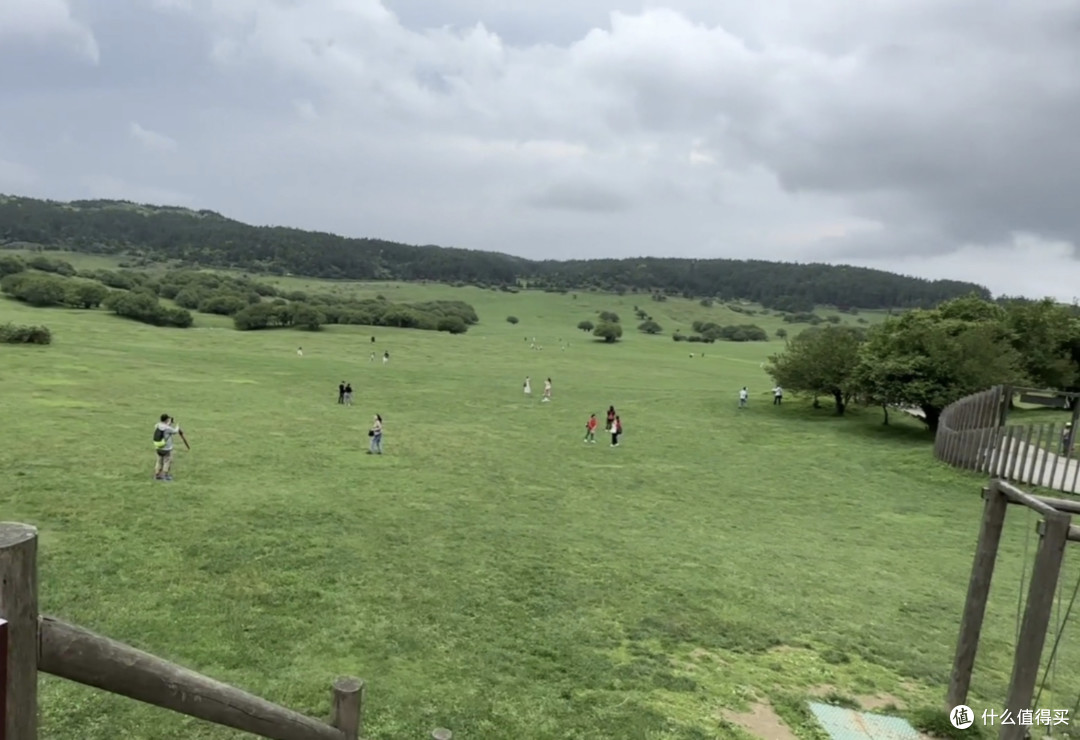 夏日可以去重庆武隆仙女山上的草原避暑！