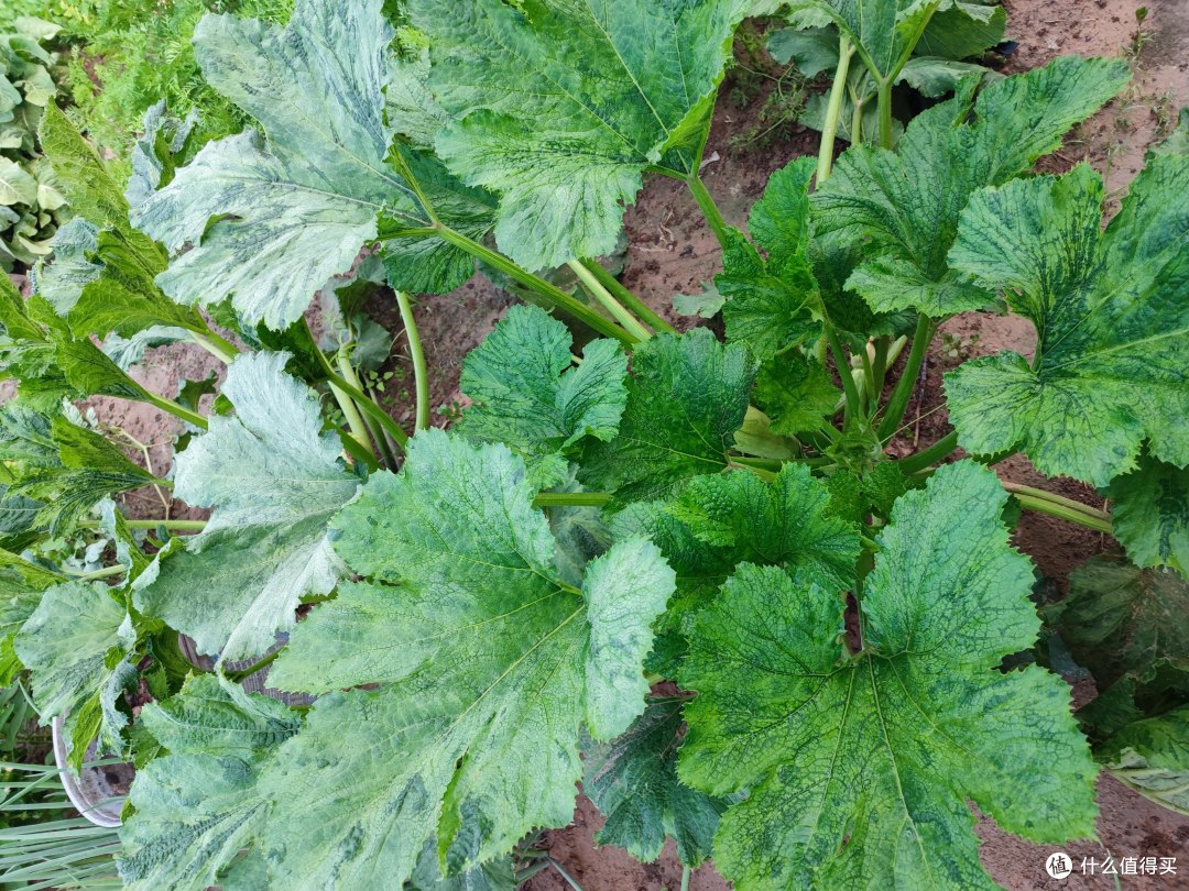 大自然赐予我们的珍贵礼物
