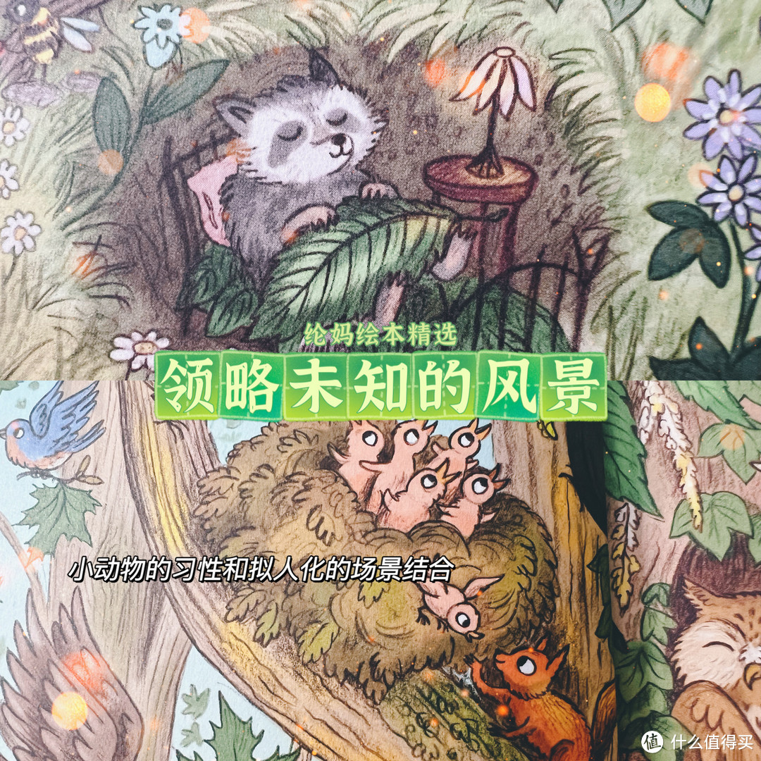 |《如果你走在丛林里》,Gucci合作插画师大作|