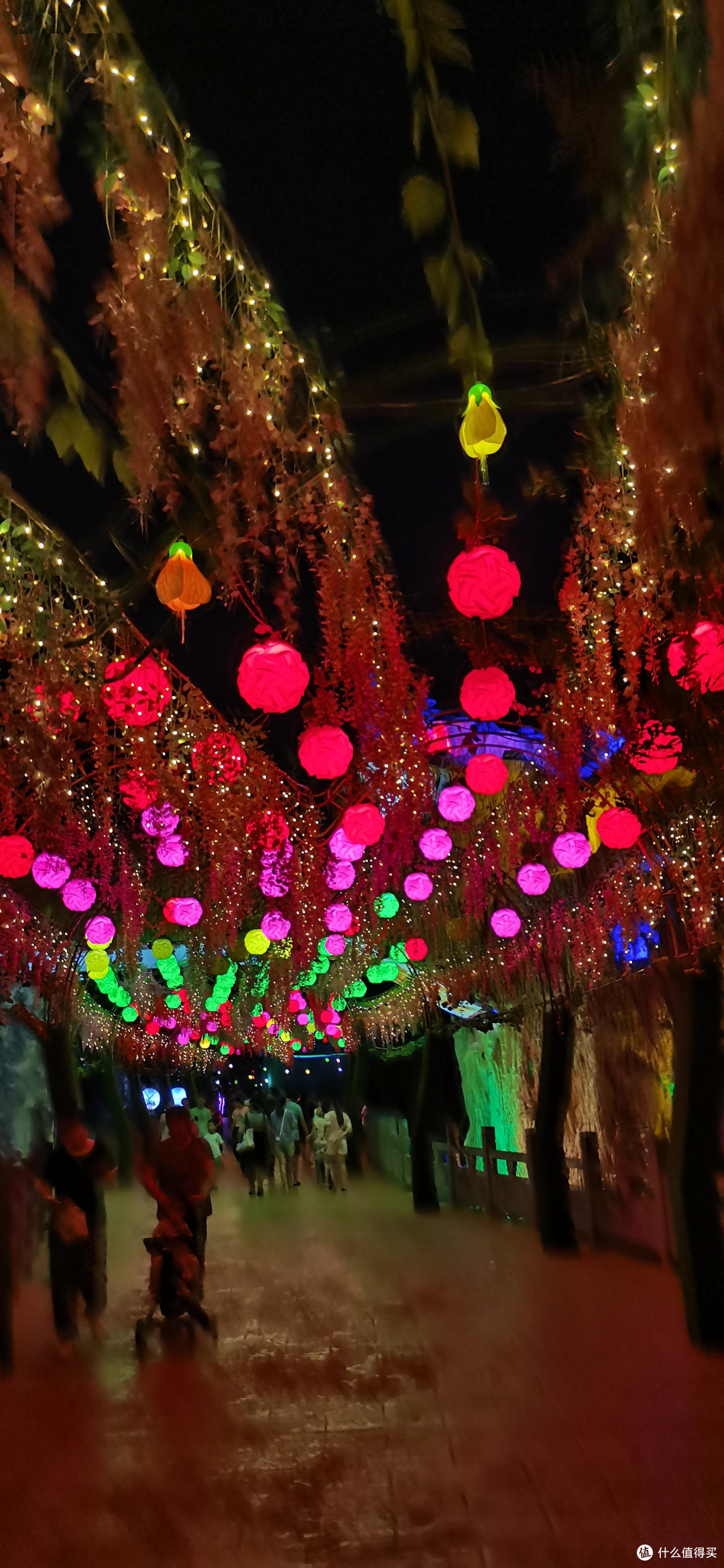 一块儿去森林公园看夜景吧