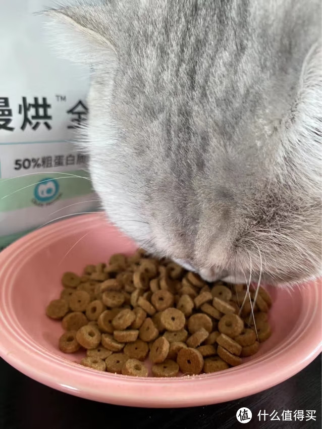 低温烘焙猫粮成猫幼猫全价鲜肉粮，LEGENDSANDY蓝氏带你解锁猫咪的美味乐园！