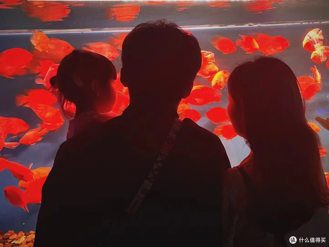 夏日特辑,避暑胜地选择