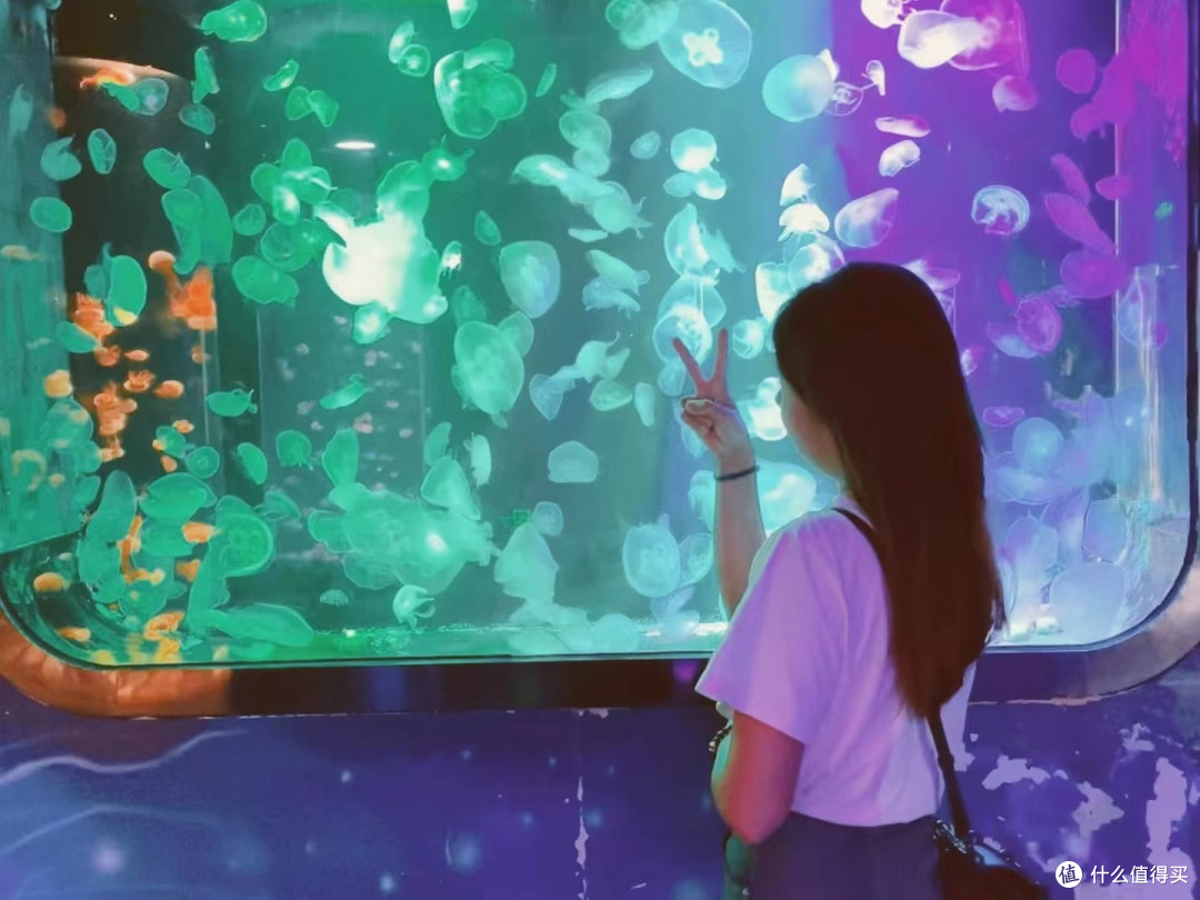 夏日特辑,避暑胜地选择