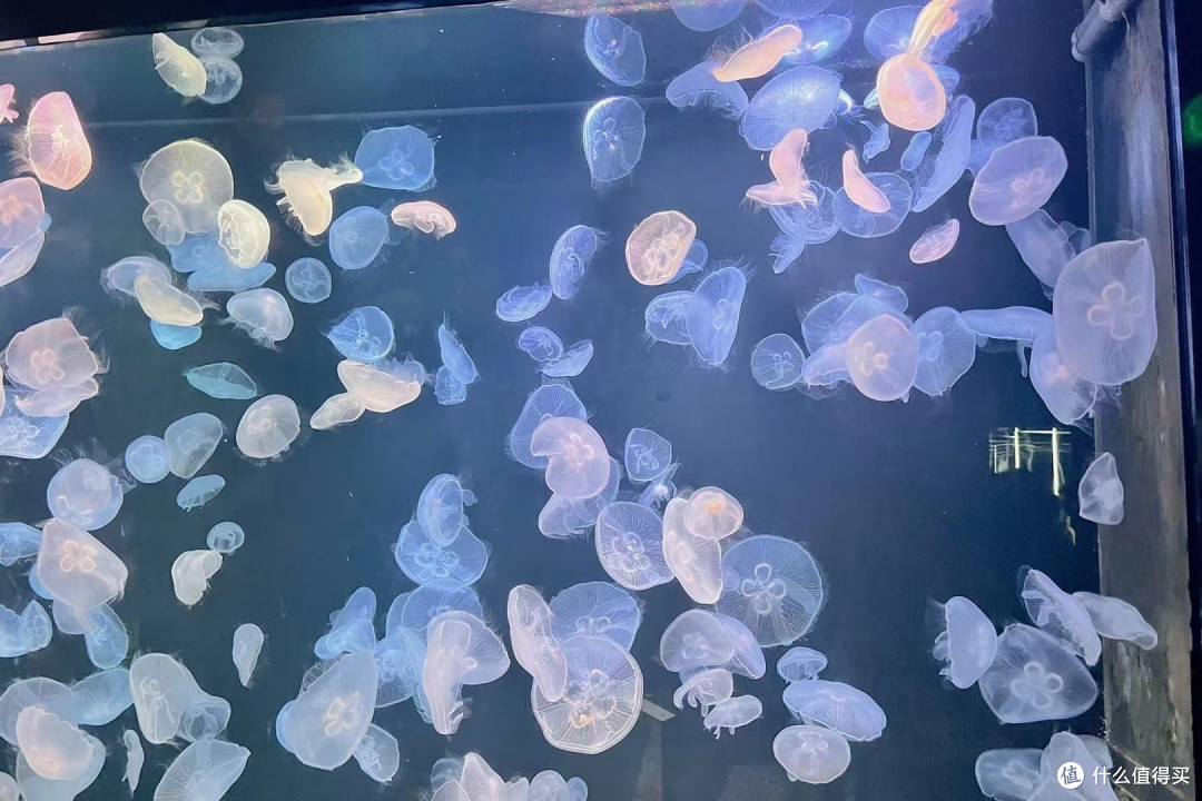 夏日特辑,避暑胜地选择