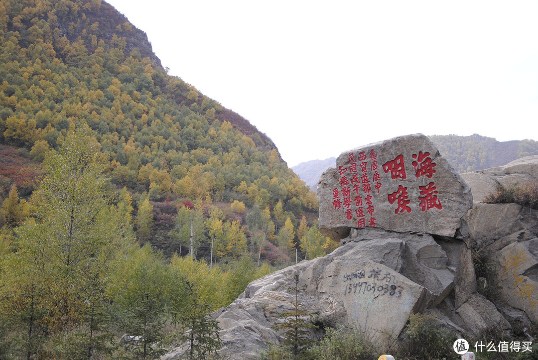 趁青春年少去青海，探寻高原奇迹，畅享无边美景！