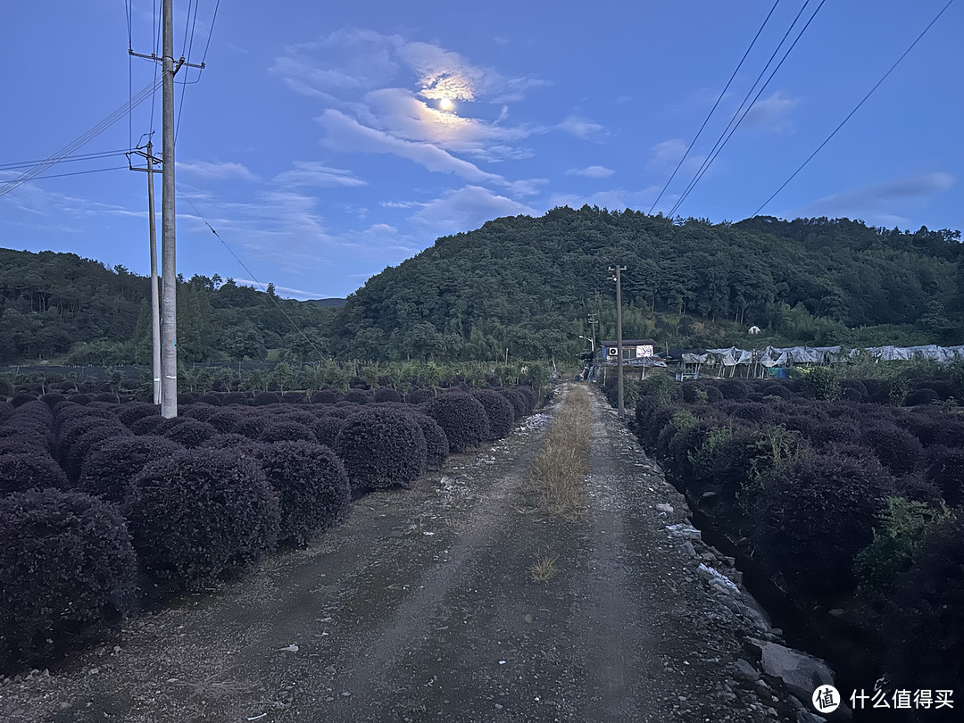 夏天大家会去水库或者水塘游泳么