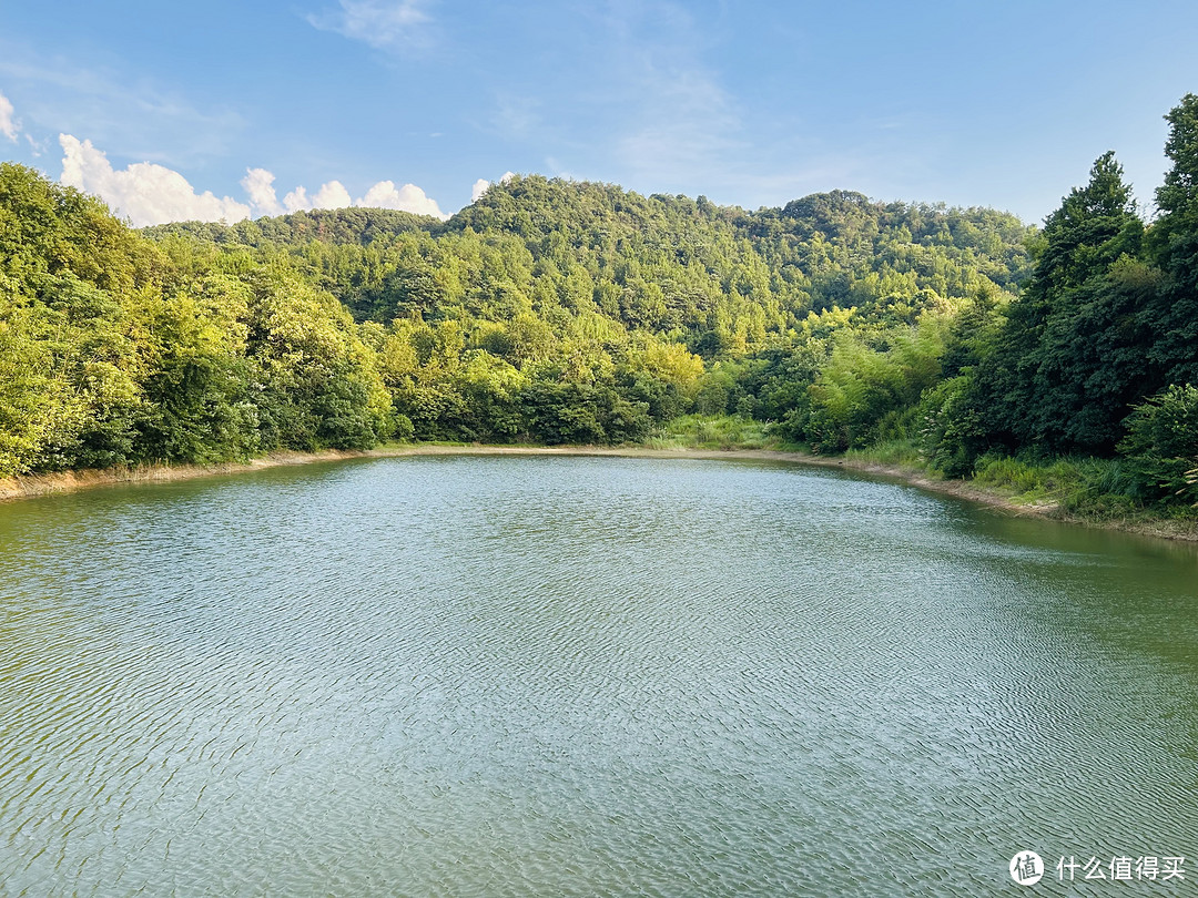 夏天大家会去水库或者水塘游泳么