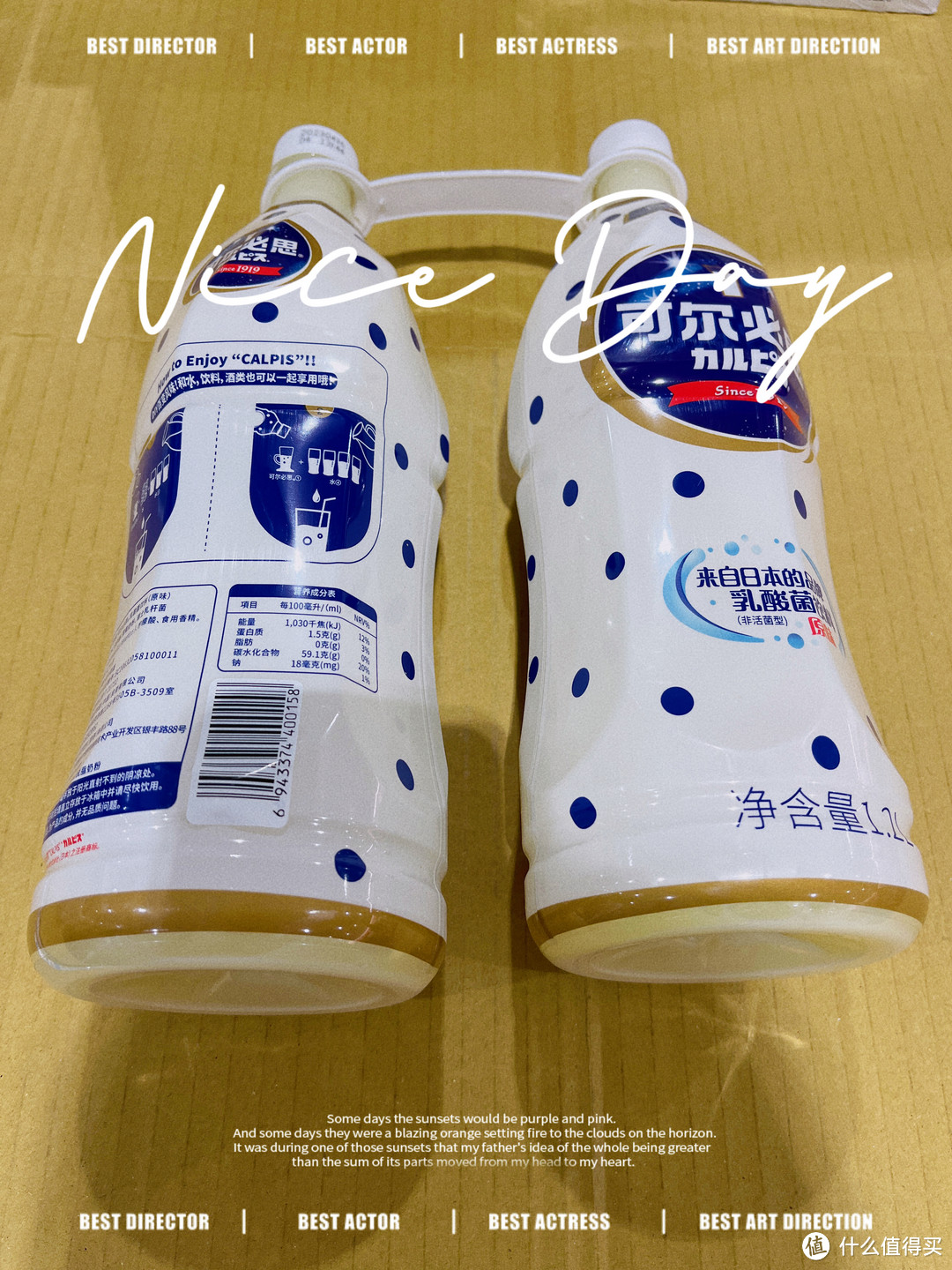 夏日饮品日记12｜各类乳酸菌饮料分享一二