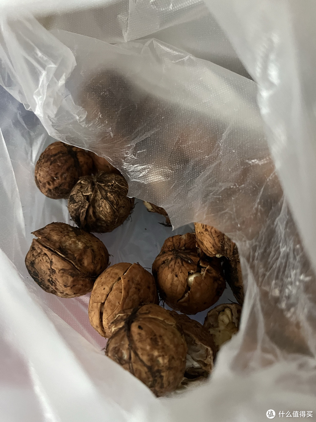 新鲜的核桃是什么味道,你吃过吗