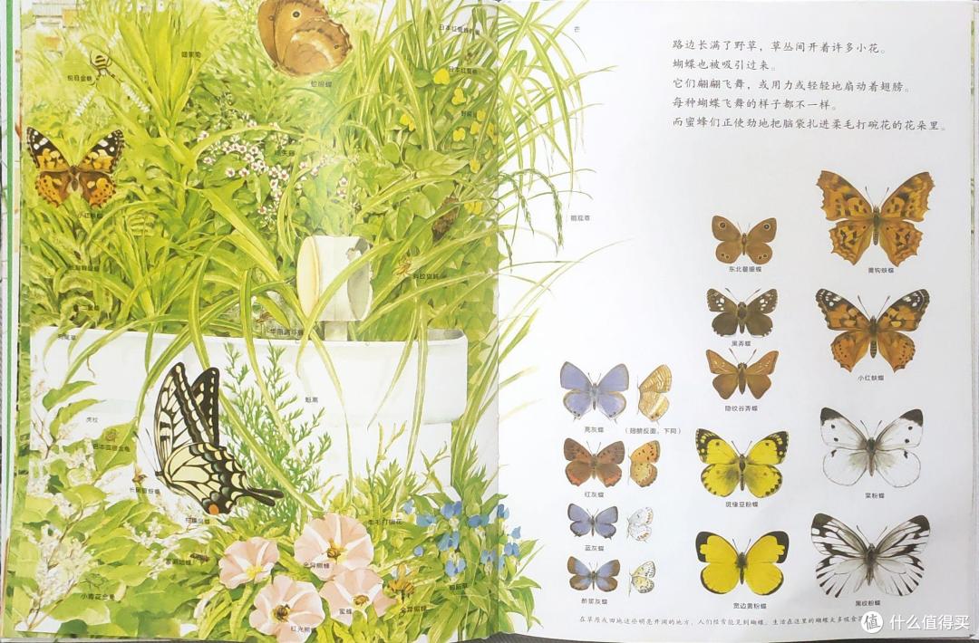 有哪些童书既能孩子涨知识,又能给孩子做美育?