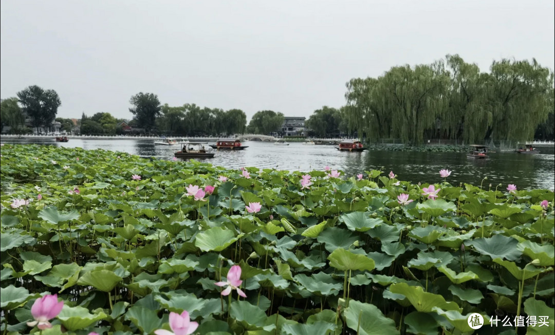 游览北京什刹海，环境优美，风景很不错