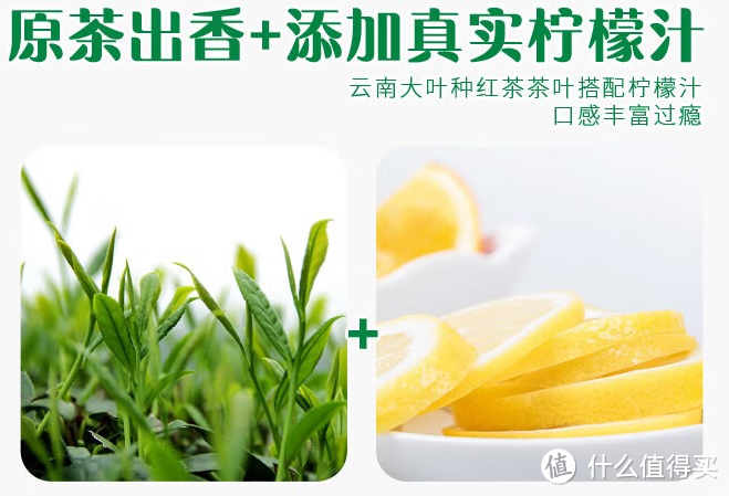 夏日饮品推荐：可口可乐阳光无糖柠檬味茶饮料，畅享清凉的0糖柠檬茶！夏日饮品推荐：可口可乐阳光无糖