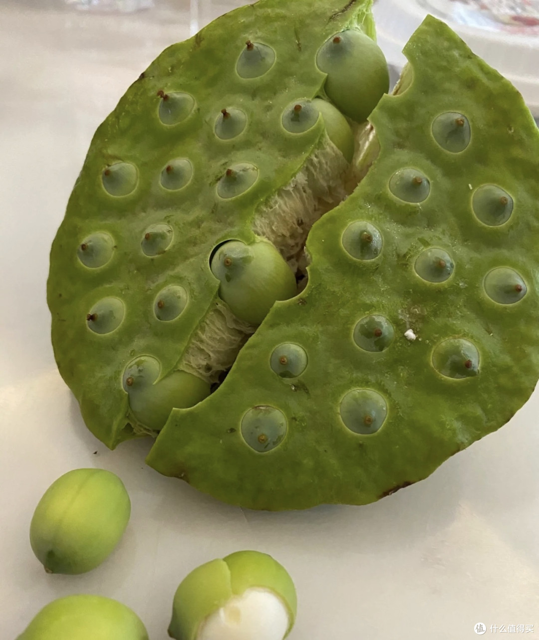 夏日的必吃——莲蓬!