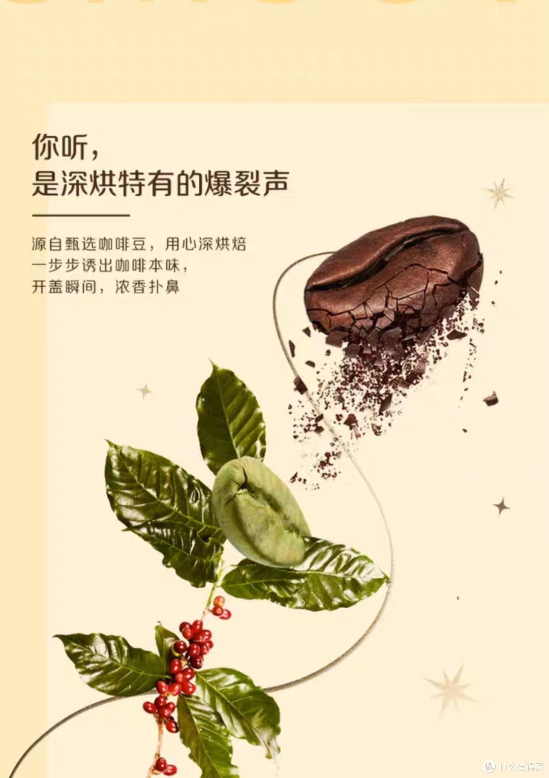 夏日犯困,离不开的美味咖啡。