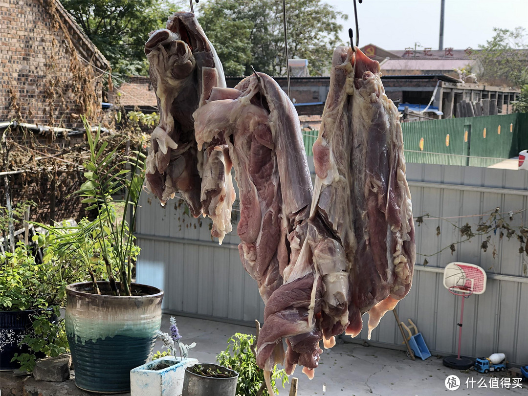 吴京分享月瘦10斤窍门,只吃4样食材,只用1种烹饪方法,值得尝试