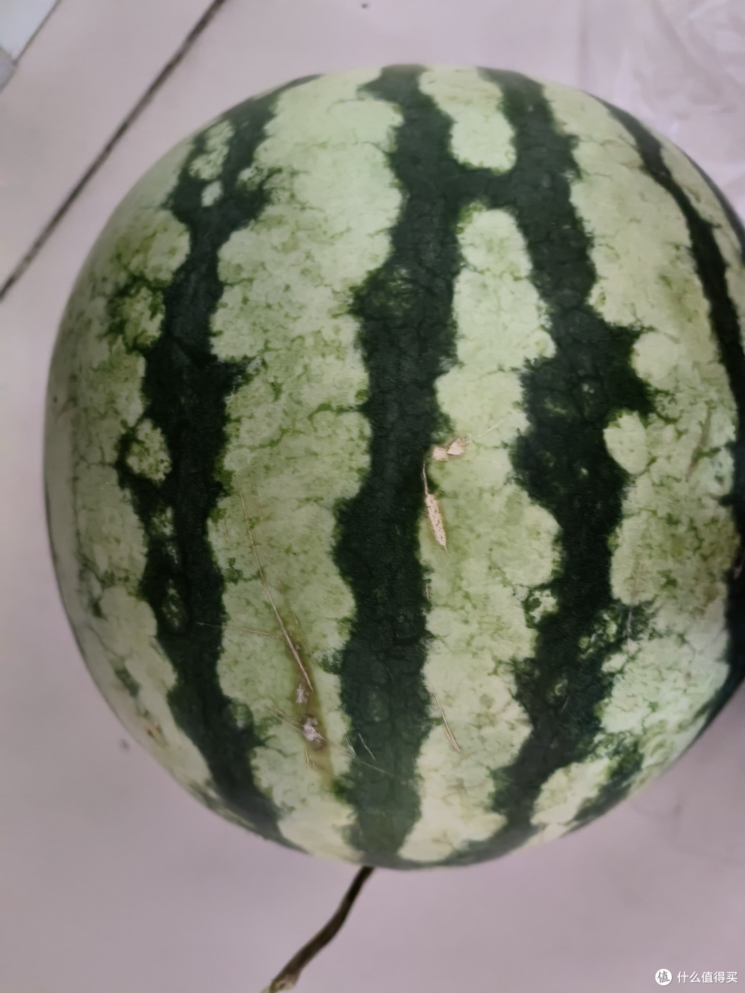 个头不小