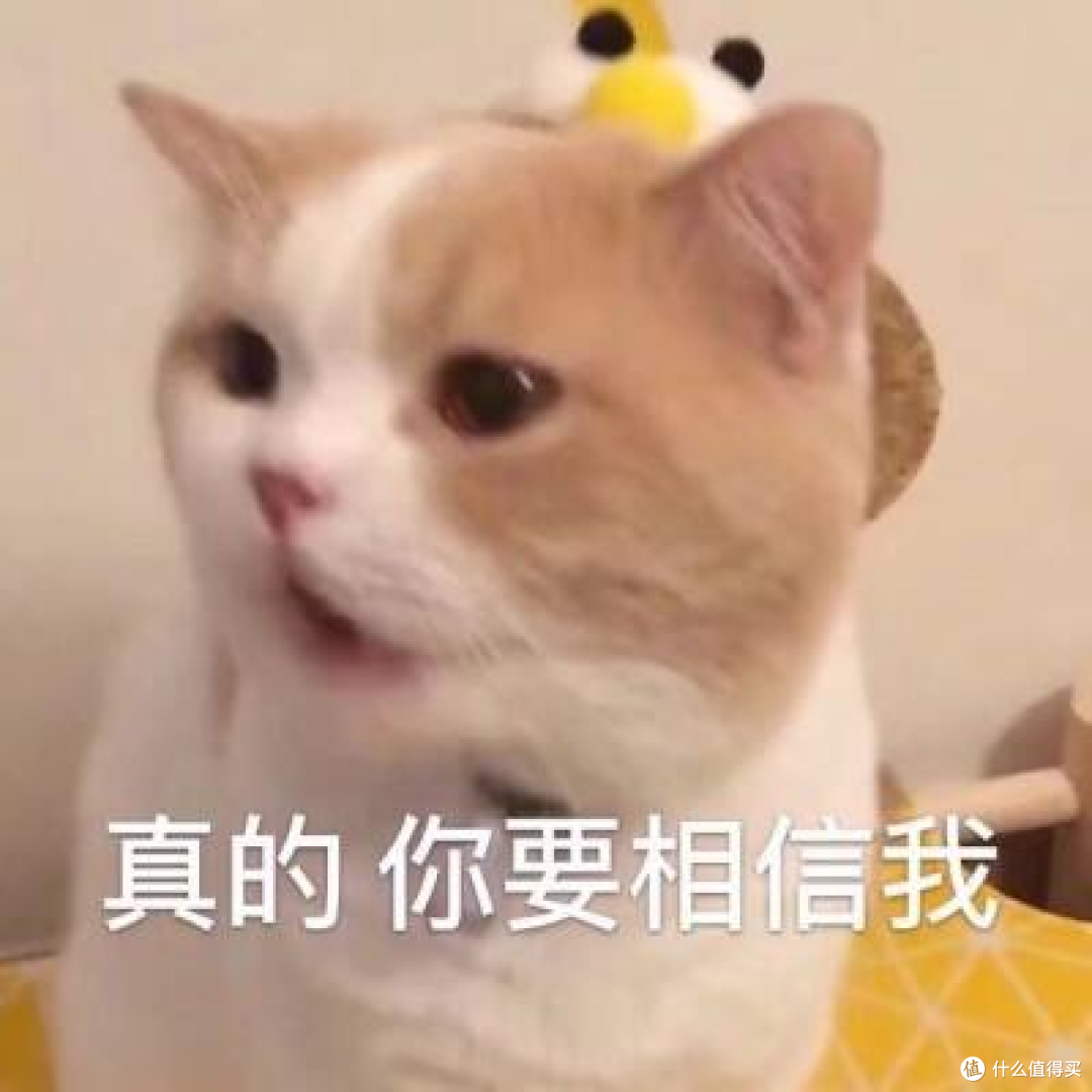 2000元以内,手持无线吸尘器怎么选 | 附松下KC1自动集尘空间站吸尘器实测