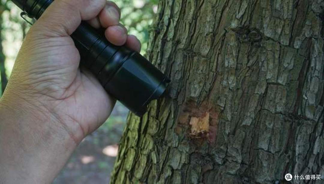 应急照明,这款双模式Fenix TK22 TAC手电你觉得怎么样?