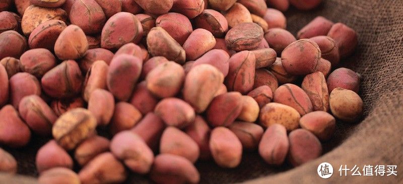 测评四款小众饮品,唤醒夏日的平淡味蕾,格瓦斯、烧仙草、玉米汁、马来西亚可乐等