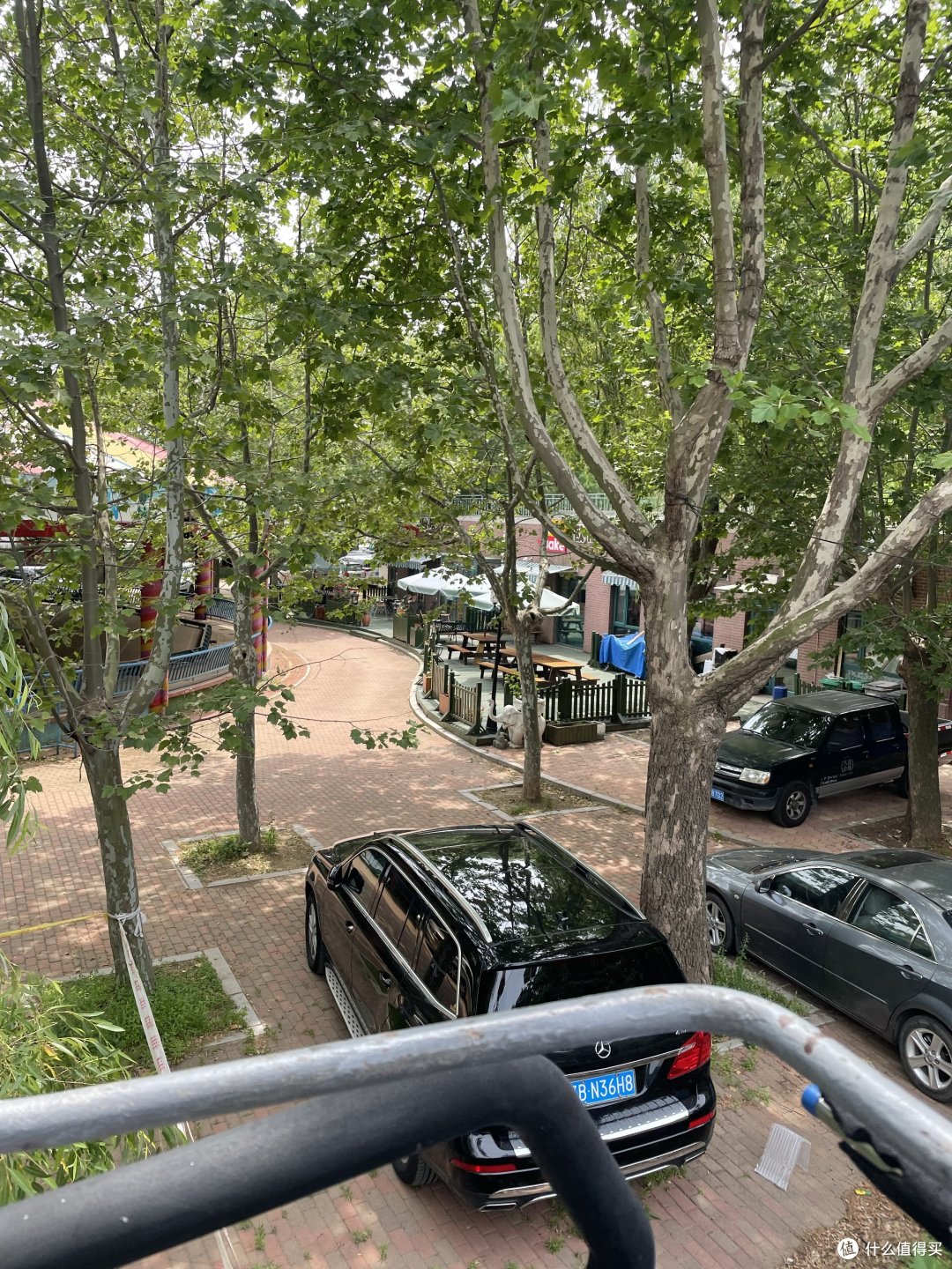 只有这一个铁栏杆保护我！
