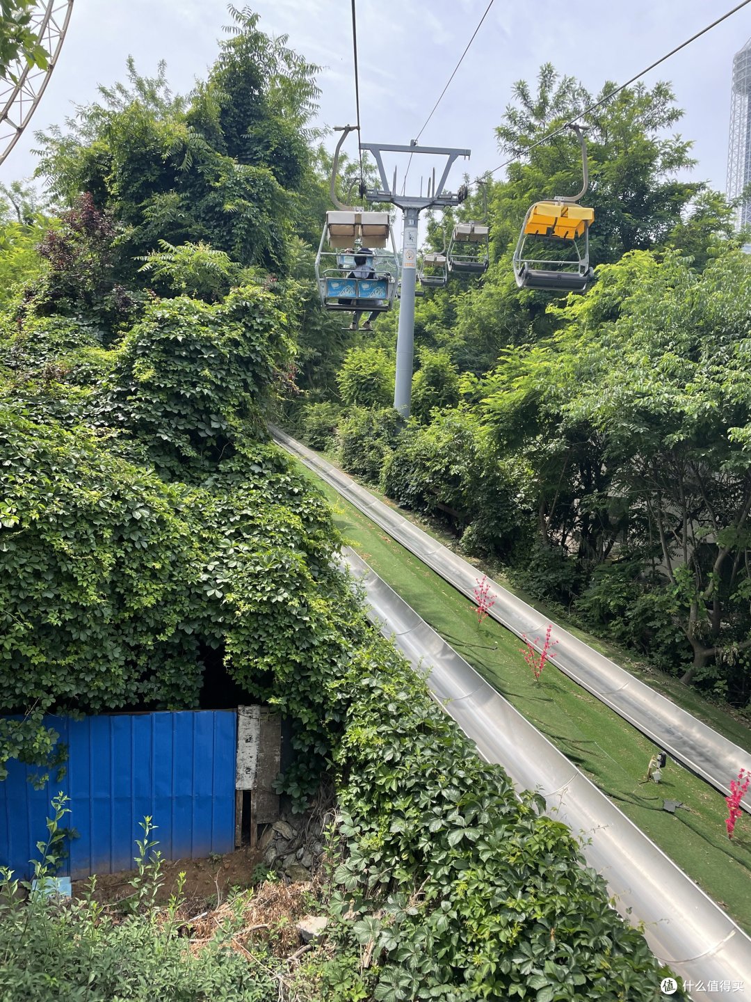 扶老携幼去旅行—大连篇(中)