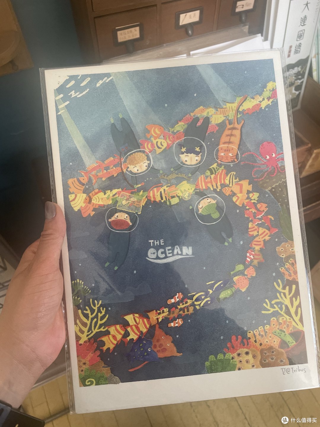 扶老携幼去旅行—大连篇(中)