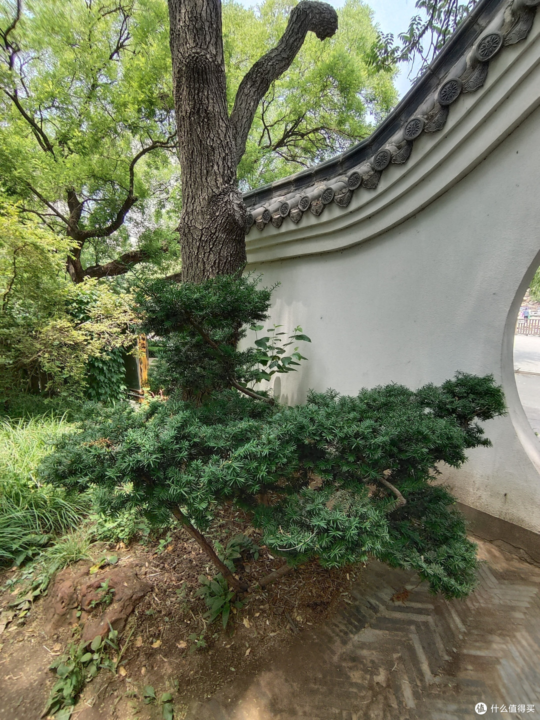 扶老携幼去旅行—大连篇(中)