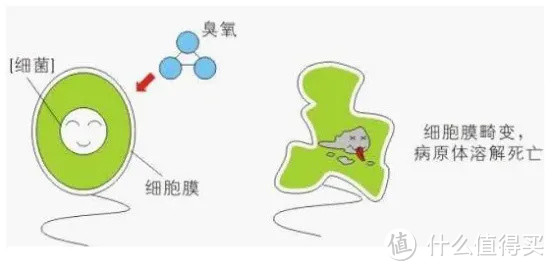 2023年保姆级洗衣机推荐|海尔、美的、小天鹅、西门子、博世等洗衣机高性价比系列选购攻略