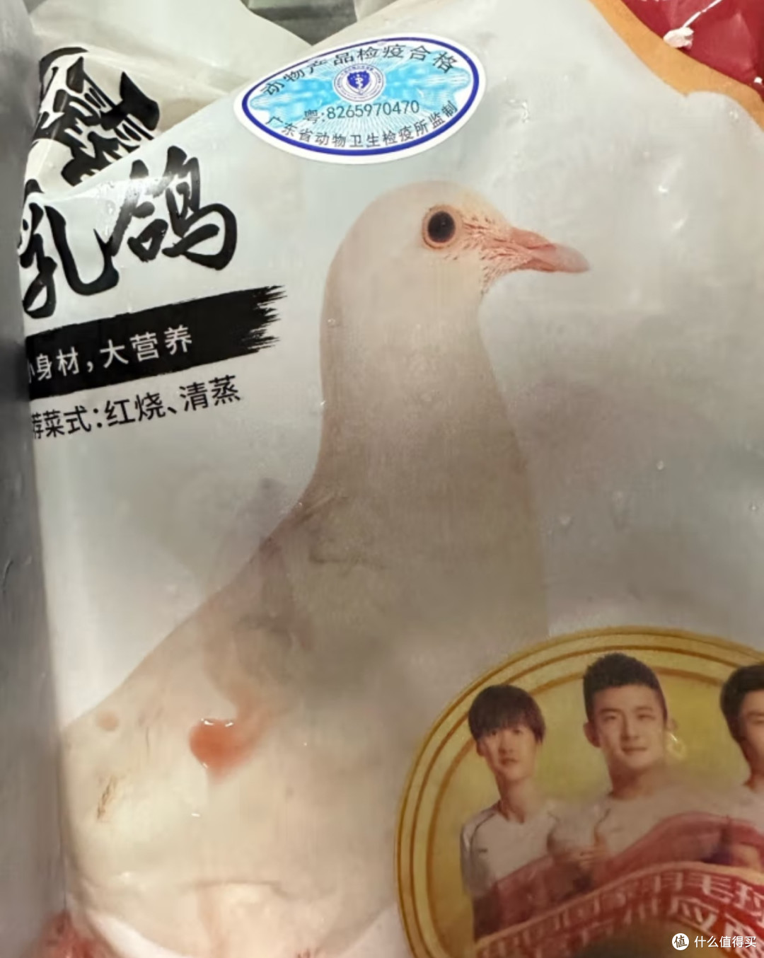 鸽子汤，滋补养生的美味佳肴，让你健康又美味！