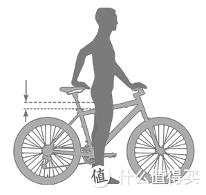 2023骑行指南（48）：我需要什么尺寸的自行车？附全类型自行车尺寸表