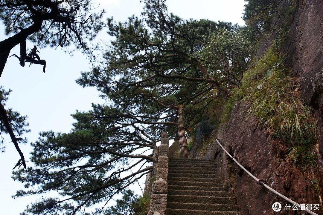 出游随拍之手机摄影记录泰山和黄山的不同美景