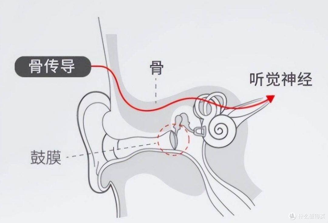 更适合游泳佩戴,0感无压力,南卡Runner Pro4s骨传导耳机实测