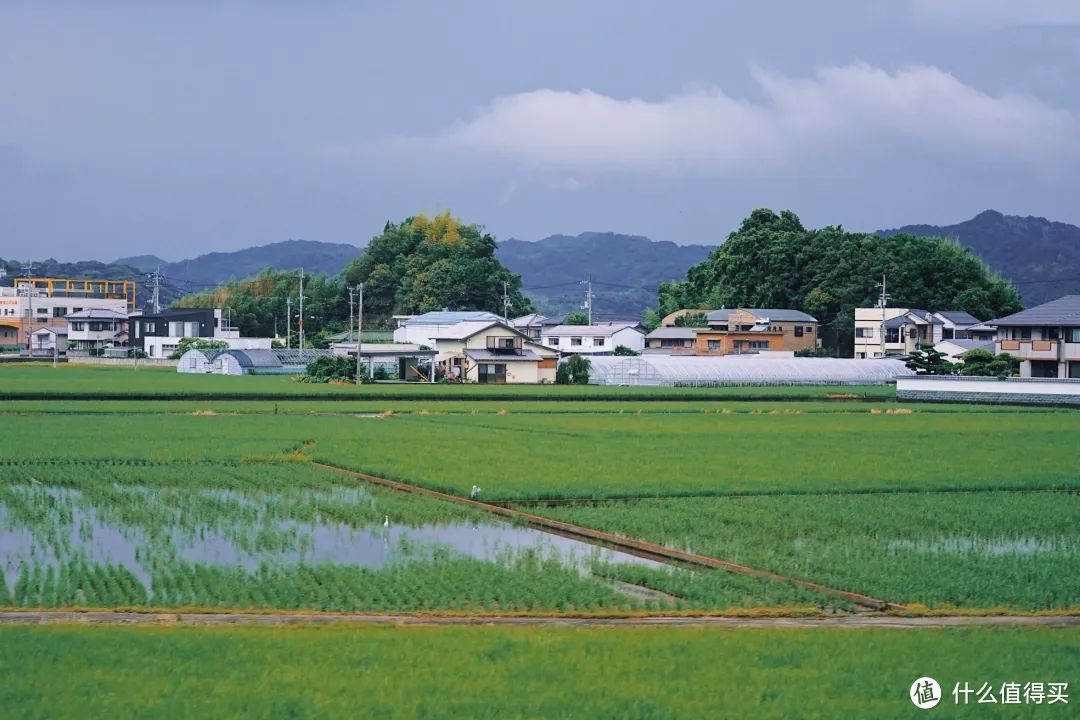 为了这篇攻略，我在海上住了15天