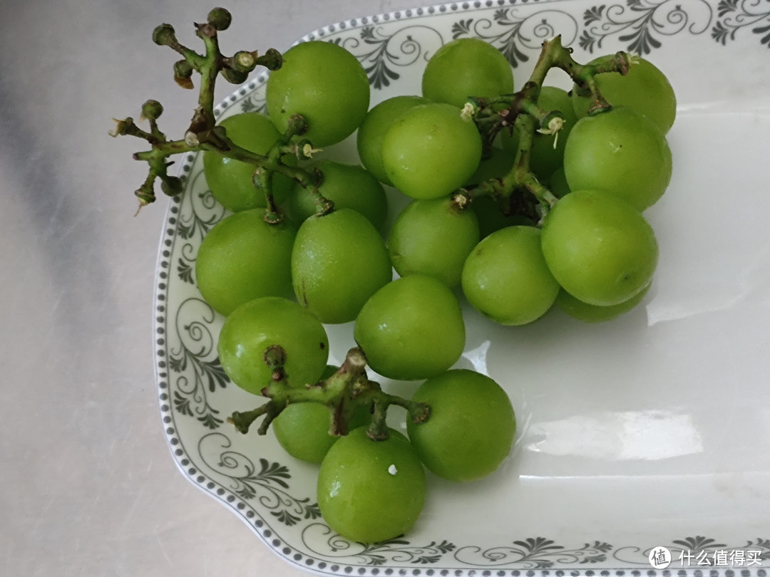 让葡萄成为你生活中不可或缺的零食或水果！