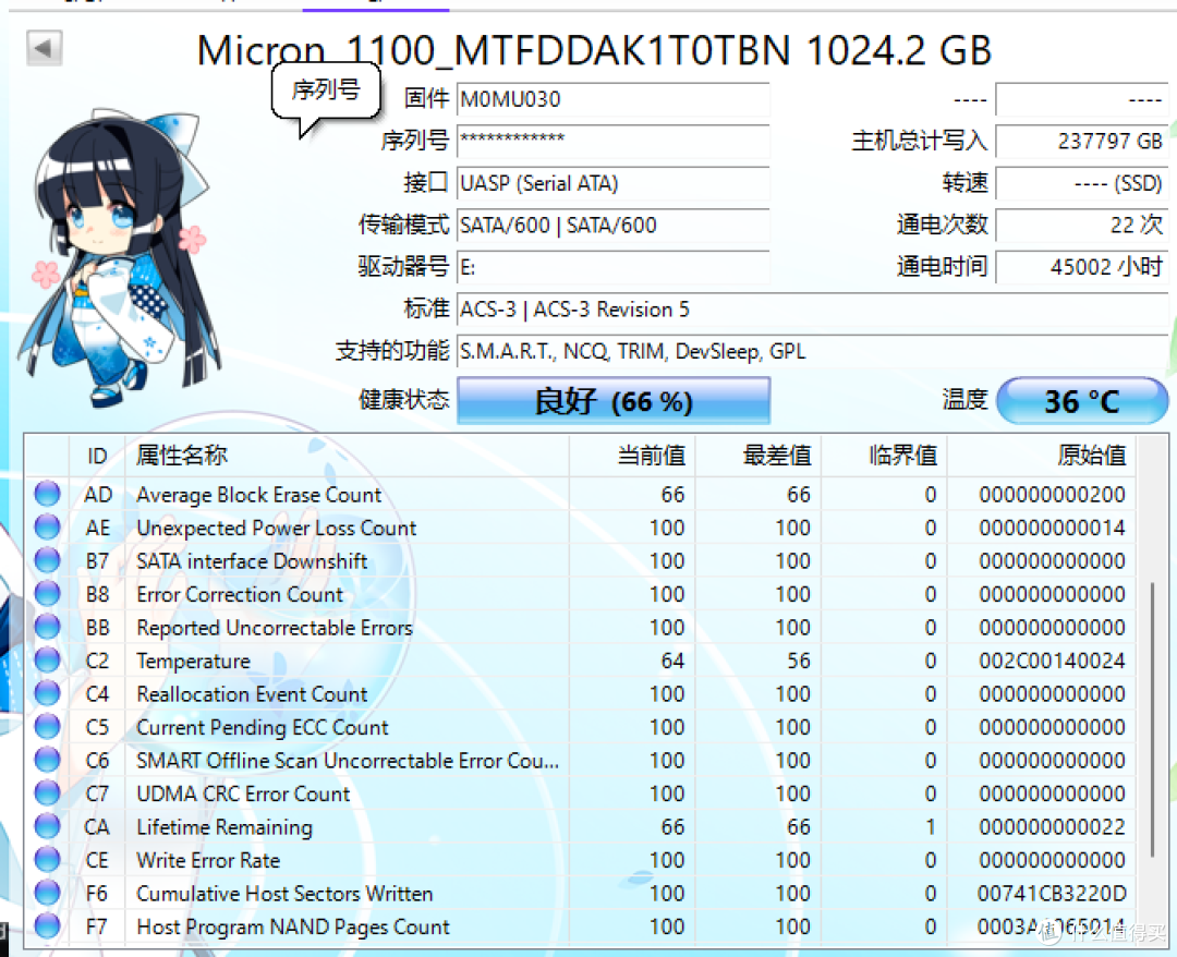 哪有赌狗天天输2.0,200入手1t镁光1100和一个全新国产512g
