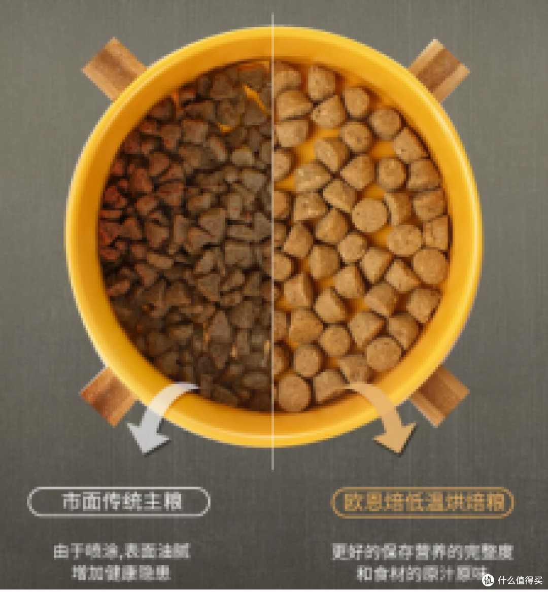 9款狗粮大测评,养狗选粮必看这一篇!