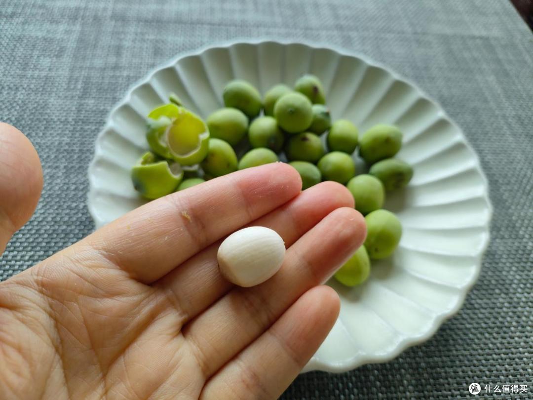 厨房电器一定要带这些功能，我天天用它们做早餐，太实用了